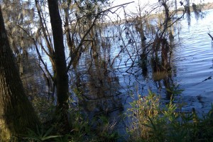 lake talquin